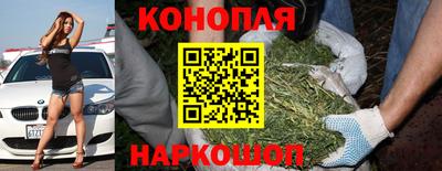 бошки Можга