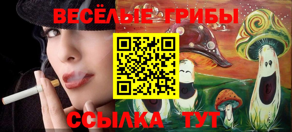 Элиста  Галлюциногенные грибы Magic Shrooms  Вход с VPN 